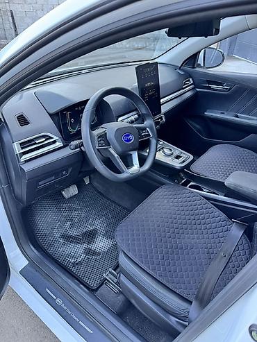 BYD: BYD E2: 2021 г., Электромобиль, Хэтчбэк — 6