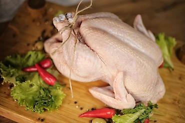 Үй жана бакча: Тушка курицы целиком. Домашнее производствонатуральные кормабез — 1