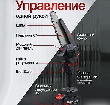 электро пилита: В наличии есть только в черном цвете ! Lithium - аккумуляторная — 1
