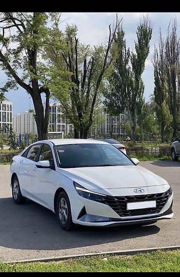 Hyundai Avante: 2020 г., 1.6 л, Автомат, Бензин, Седан at lalafo.kg Hyundai Avante: 2020 г., 1.6 л, Автомат, Бензин, Седан