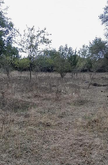 cepis satisi: 26 sot, Biznes üçün, Mülkiyyətçi, Kupça (Çıxarış) — 4