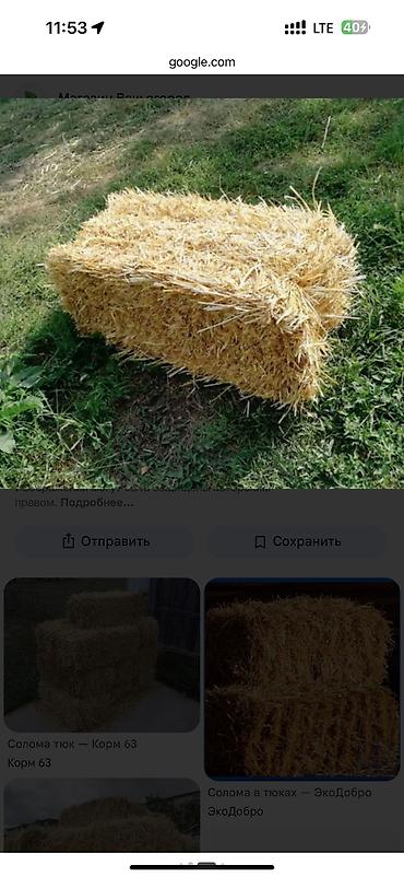 сколько стоит кошка в бишкеке: Тюки соломы 80шт по 120 сом
Панфиловский районсело Панфиловское — 2