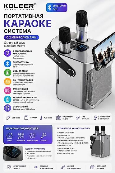 Портативная караоке-система KOLEER S882 с 2 микрофонами Основные