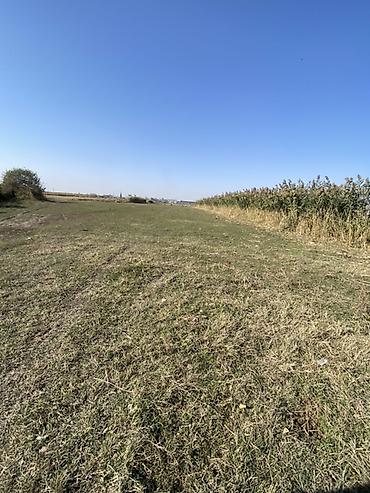 село карла маркса аламудунский район: 100 соток, Для сельского хозяйства, Договор дарения — 4