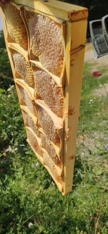 Bal: ELF BEE'S 1977 ECO-PRODUCT FOR HEALTH AND LONGEVITY Tovuzun -da lalafo.az — 11 Bal: ELF BEE'S 1977 ECO-PRODUCT FOR HEALTH AND LONGEVITY Tovuzun — 11