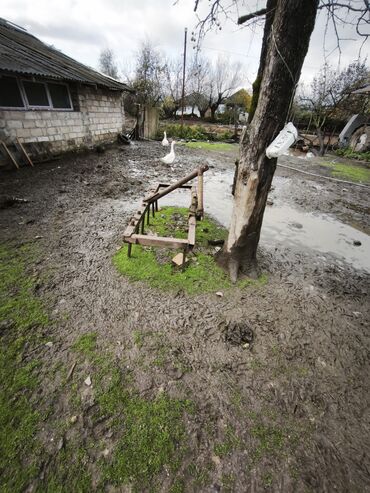 Traktorlar: HAMISI BİR YERDƏ SATILIR, AYRI AYRI SATILMIR!!! Əvvəla Salam Aleykum — 7