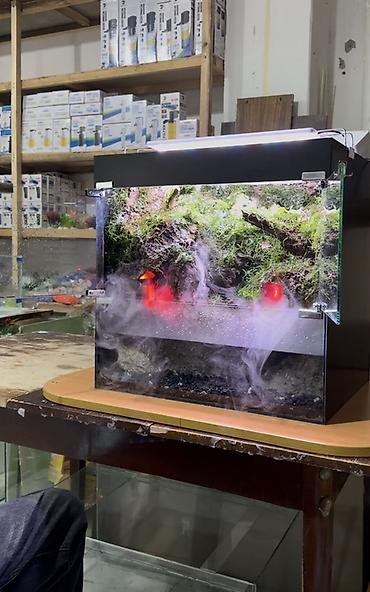 Akvarium aksesuar və ləvazimatları: Terrarium/Vivarium dekorativ sistem – duman generatoru və LED — 1