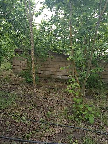 yeni əmlak az: 4 sot, Tikinti, Kupça (Çıxarış) — 4