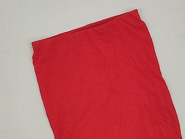 olowkowe spodnice: Terranova, Spódnica damska, rozmiar XS — 1
