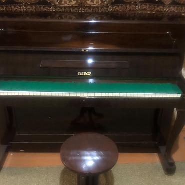 ovcular evi: Piano, Petrof, Akustik, Yeni — 4