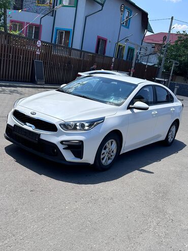 лампа для машины: Kia K3: 2019 г., 1.6 л, Автомат, Бензин, Седан