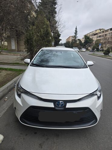 rent car sumqayit: Günlük, Toyota, Depozitlə, Qalmamaq şərti ilə