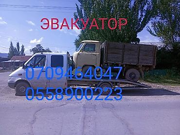 sprinter 315: С лебедкой — 1