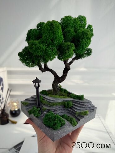 Декоративные цветы: Деревья-бонсай из натурального стабилизированного мха🌳 -это — 33