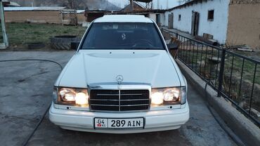 сг 9: Mercedes-Benz 200: 1989 г., 2.9 л, Механика, Дизель, Седан
