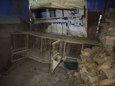 купить раков в бишкеке: Кролятник полностью металлический,пол деревянный. небольшой торг