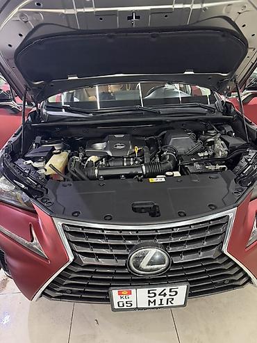 лехсу: Lexus NX: 2018 г., 2 л, Автомат, Бензин, Кроссовер — 5