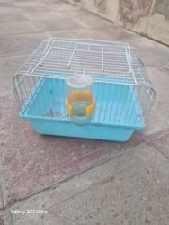 отдам в добрые руки баку: İşlənmişdir 5 manat