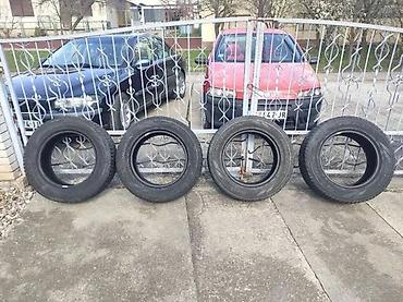 Tires: PIRELI 235 65 17 MS 235 60 17 | Karakteristike guma Sezona Sve — 3