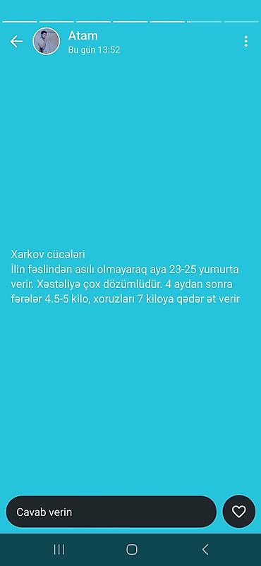 ordek yumurtası satışı: Toyuq cücələri, Damazlıq, Ünvandan götürmə, Ödənişli çatdırılma — 5