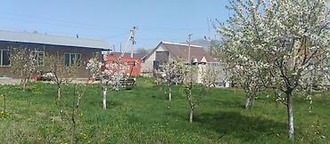 дом с участком: 5 соток, Красная книга — 5