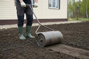 seed: 🌱 Газон себебиз! Корооңузду жашыл, кооз жана көрктүү кылгыңыз келеби? — 2