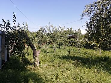 село чокморова: Продаю дачу в селе Таш мойнок — 4