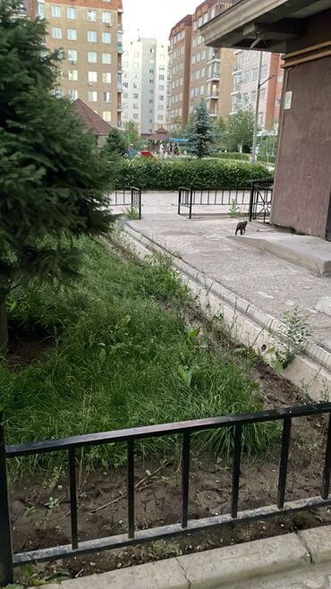 металл куплю: Заборы и ограждения, | Металлические