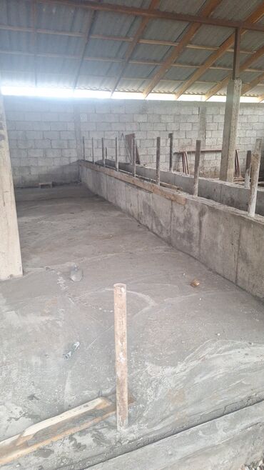 Продажа домов: Дом, 50 м², 3 комнаты, Собственник — 8