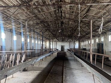 Kommersiya daşınmaz əmlakının satışı: FERMA satılır Pirəkəşkül qəsəbəsində — 14