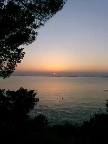 sony a 3: Əsas özəlliyi : Canon markalı kamera ilə bənzərliyi Kodak rəqəmsal — 3