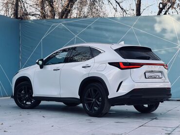 Lexus: Lexus NX: 2024 г., 2.5 л, Автомат, Бензин, Кроссовер — 5