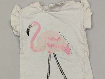 Koszulki: Koszulka, Zara, 2-3 lat, 92-98 cm, stan - Zadowalający