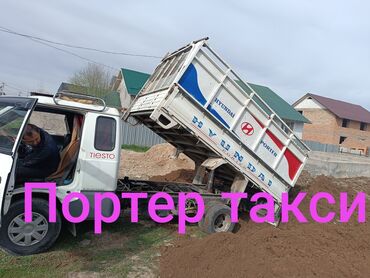 лабрадор щенок цена бишкек: Вывоз мусора вывоз мусора вывоз Вывоз мусора вывоз мусора вывоз