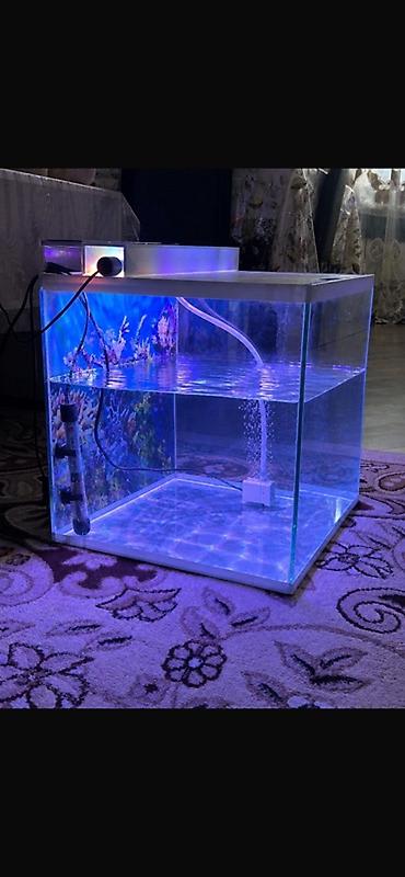 su suzən daslar: Dördbucaq akvarium, Boş, 80 l, Ödənişli çatdırılma — 5