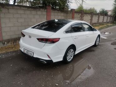 купить хендай i20: Hyundai Sonata: 2019 г., 2 л, Автомат, Бензин, Седан