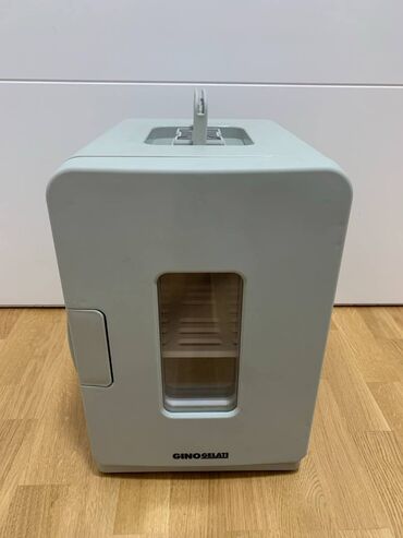 prodaja felni beograd: Termoelectric mini frizider 12V i 220 V - extraaa Fantastican mini
