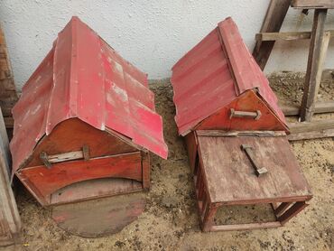 Yuvalar: It yuvasi bir ededi 20 az -da lalafo.az — 7 Yuvalar: It yuvasi bir ededi 20 az — 7