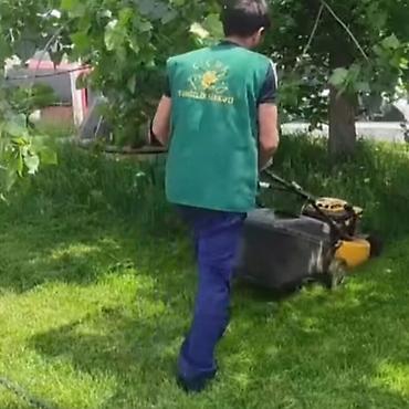 landşaft: 📍 Otların bicilmesi +yigilmasi Ağacların kesimi Ağaclara quluq — 1