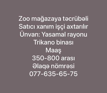 rus dili müəlliməsi: Satış meneceri tələb olunur, Yalnız qadınlar üçün, 30-45 yaş, 1 ildən az təcrübə, Aylıq ödəniş