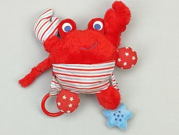 kurtki na wiosnę dla dzieci: Soft toy for infants, condition - Good