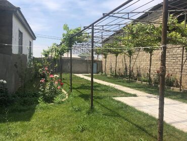 Torpaq sahələrinin satışı: 120 sot, Mülkiyyətçi, Kupça (Çıxarış) — 8