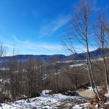 Torpaq sahələrinin satışı: 65 sot, Kənd təsərrüfatı, Mülkiyyətçi, Kupça (Çıxarış), Bələdiyyə — 5