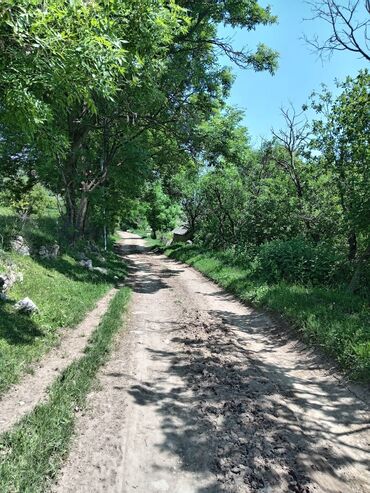 Torpaq sahələrinin satışı: 50 sot, Mülkiyyətçi, Kupça (Çıxarış) — 1