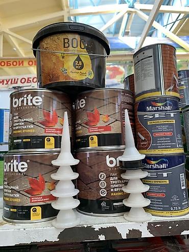 бур: Лаки и покрытия для тротуарной плитки и камня: - Brite Professional — — 1