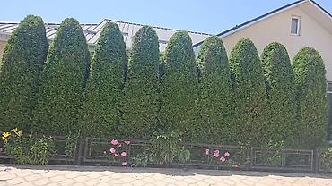 Продажа коттеджей и домов: Продам! На Иссык-Куле коттедж(бунгало) 90м² «Фонтан» с.Кара-Ой. Тех — 8