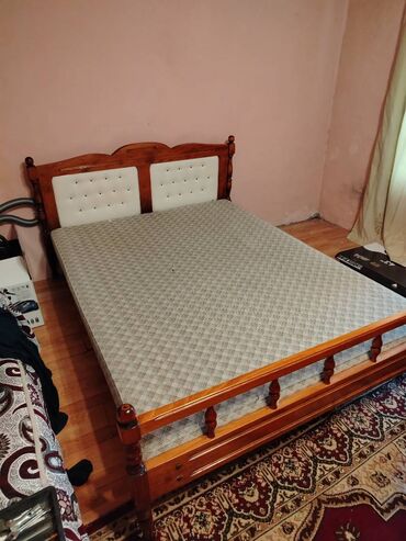 Bitkilər: Yaxşı veziyyetdedir