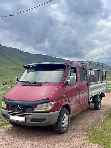 короткий спринтер: Грузовой бортовой автомобиль Mercedes-Benz Sprinter (двухрядная — 6