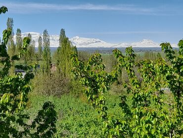 Həyət evləri və villaların satışı: 3 otaqlı, 130 kv. m, Kredit yoxdur, Təmirsiz — 15