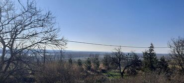 Prodaja zemljišta: 52 ares, Vlasnik — 11